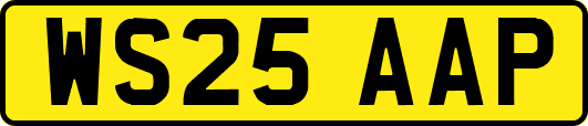 WS25AAP