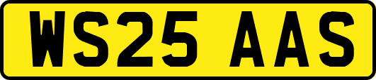 WS25AAS