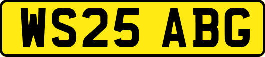 WS25ABG