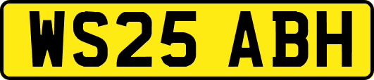WS25ABH