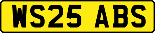 WS25ABS
