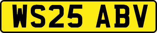 WS25ABV