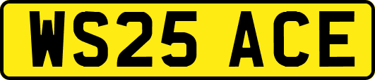 WS25ACE