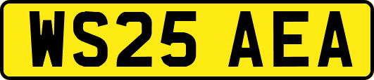 WS25AEA