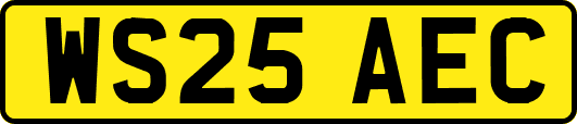 WS25AEC