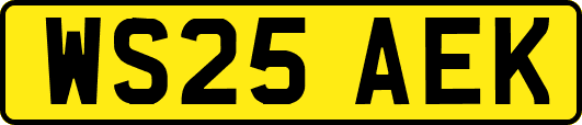 WS25AEK