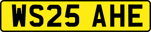 WS25AHE