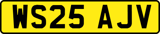 WS25AJV