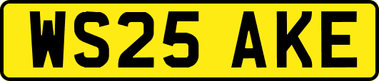 WS25AKE