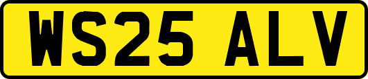 WS25ALV