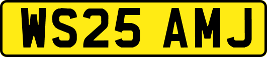 WS25AMJ