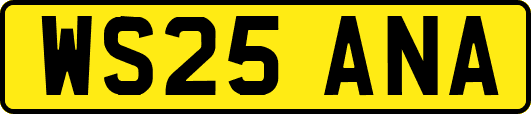 WS25ANA