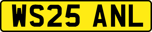 WS25ANL