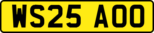 WS25AOO