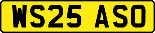 WS25ASO