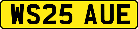WS25AUE