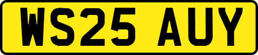 WS25AUY