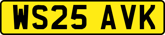 WS25AVK