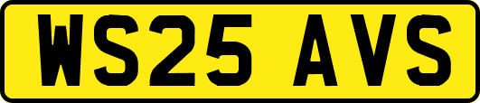WS25AVS
