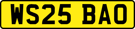 WS25BAO