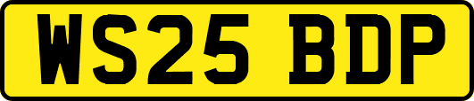 WS25BDP