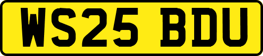 WS25BDU