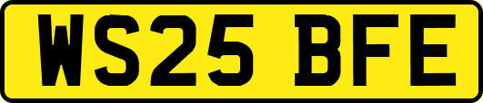 WS25BFE