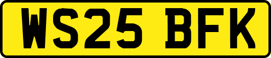 WS25BFK