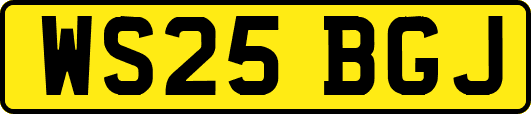 WS25BGJ
