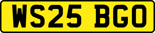 WS25BGO