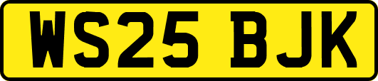 WS25BJK