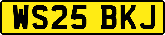 WS25BKJ