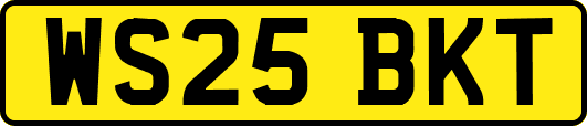 WS25BKT