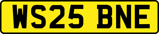 WS25BNE