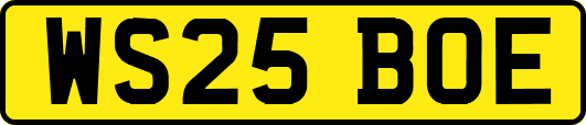 WS25BOE