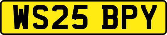 WS25BPY