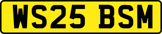 WS25BSM