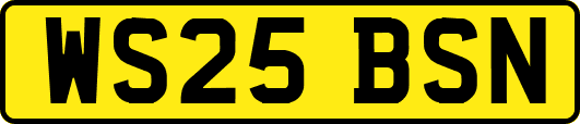 WS25BSN