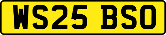 WS25BSO
