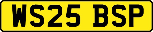 WS25BSP