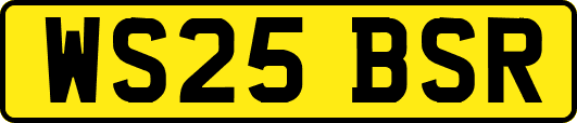 WS25BSR