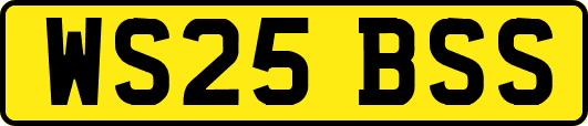 WS25BSS