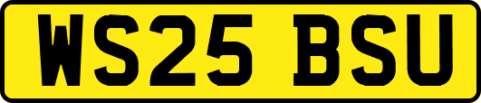 WS25BSU