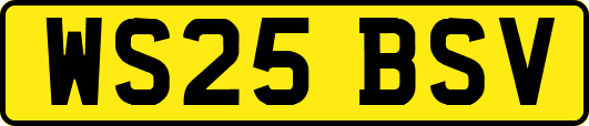 WS25BSV