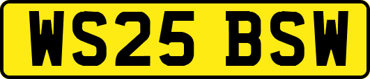 WS25BSW