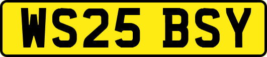WS25BSY