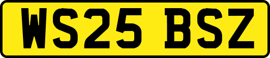 WS25BSZ