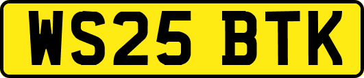 WS25BTK