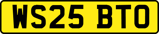WS25BTO