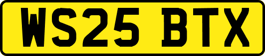 WS25BTX